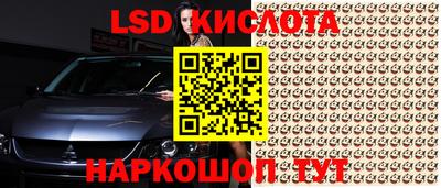стаф Будённовск