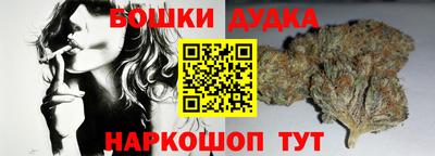 стаф Будённовск