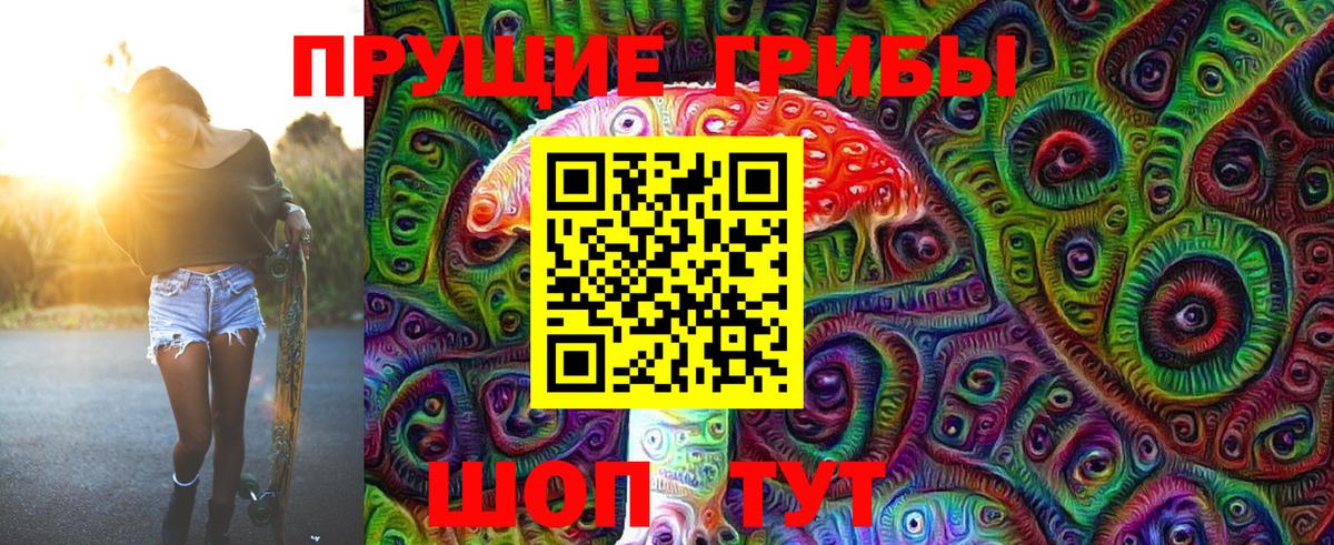 хочу наркоту  Вход с VPN  Таганрог  Галлюциногенные грибы Psilocybe 